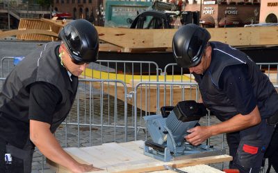 Die Holzkeramikbetonmetallbitumensolargründach-Experten von morgen
