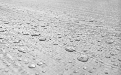Sommerliche Umkehrdiffusion