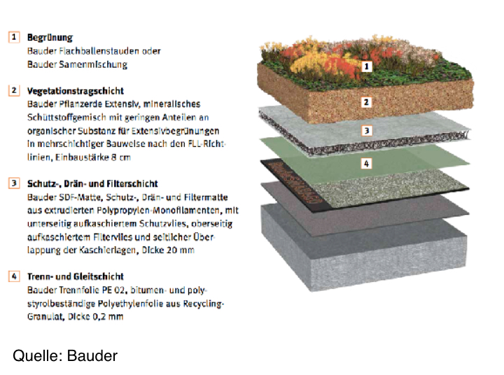 Aufbau eines Gründaches