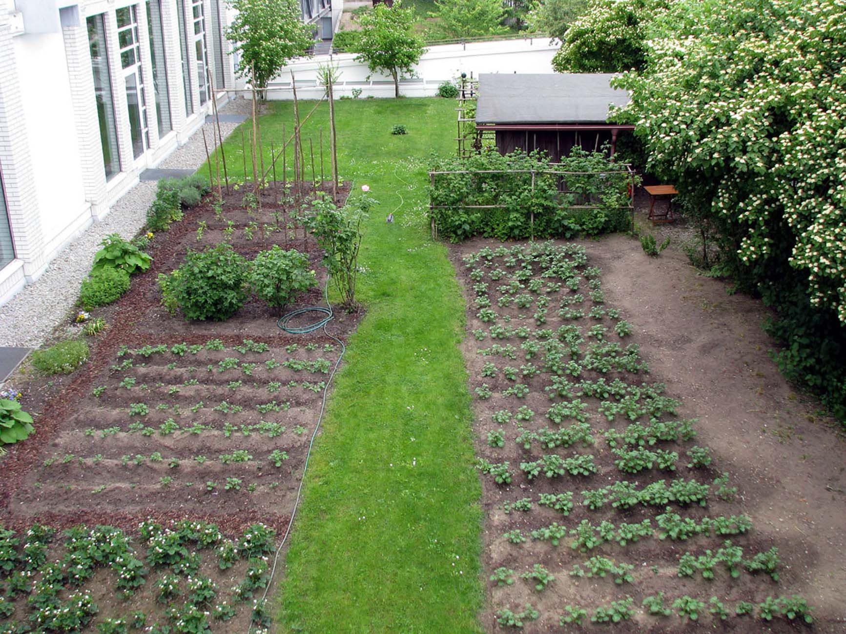 Schrebergarten auf dem Dach