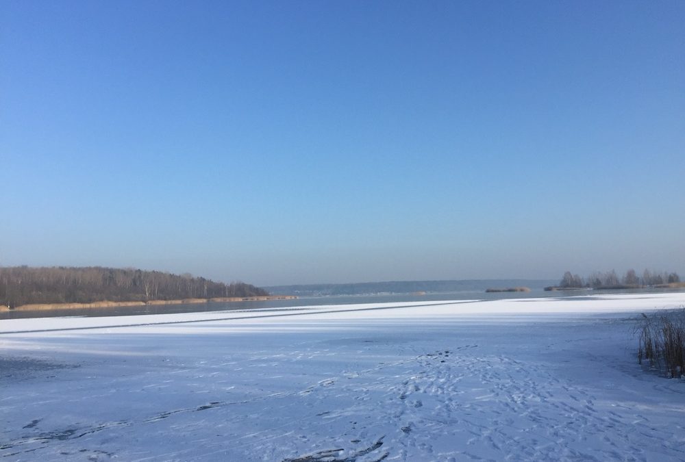 Winterliche Felder in Sachsen