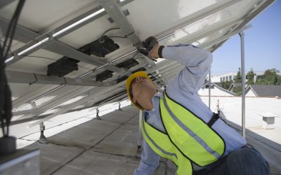 Photovoltaikanlage warten und reinigen – worauf sollten Sie achten?