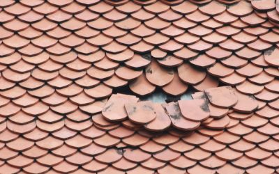 Windsogsicherung – Der Klimawandel bringt neue Herausforderungen