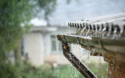 Dachentwässerung – eine Handwerkskunst