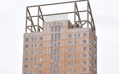 Holz als Baustoff